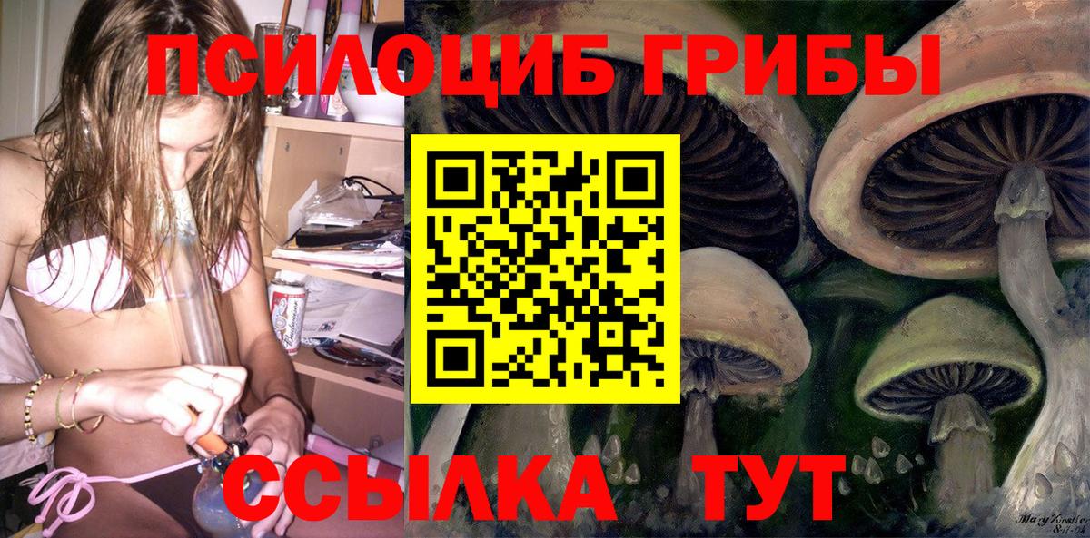 Псилоцибиновые грибы Magic Shrooms Мурино